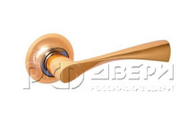 Ручка для межкомнатной двери X11PB (Золото)