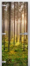 Стеклянная межкомнатная дверь Forest-13 (Фотопечать)