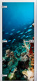 Underwater World-11 (Фотопечать) Мини фото #0